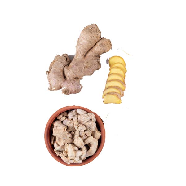 AROMATIC GINGER
