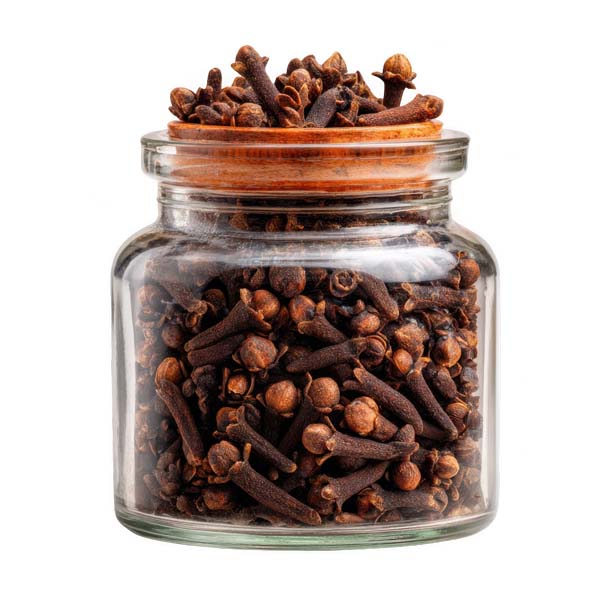 CLOVE