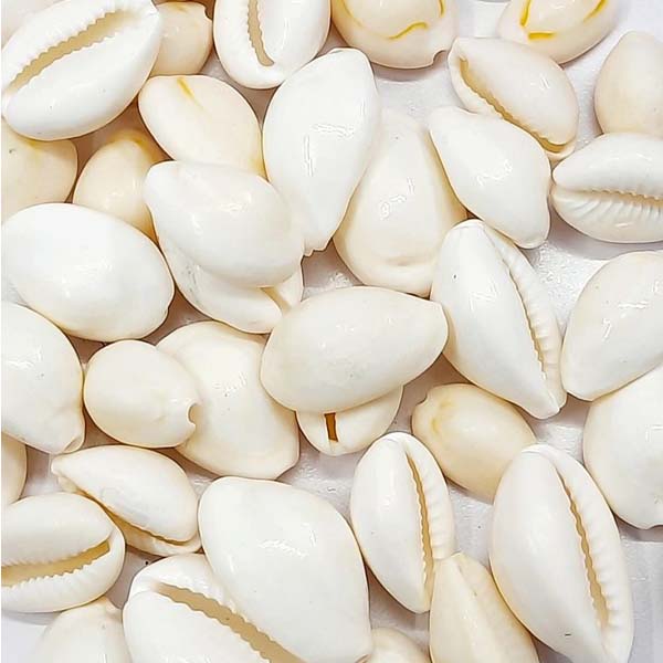 COWRIES 2