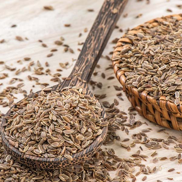 DILL SEEDS