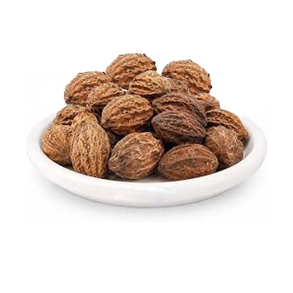 DRIED CHEBULIC MYROBALAN LEAF GALL