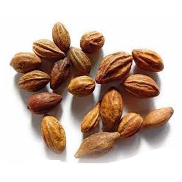 DRIED CITRINE MYROBALAN FRUITS