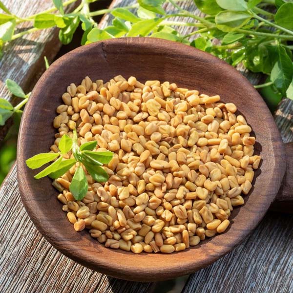 DRIED FENUGREEK SEEDS 1