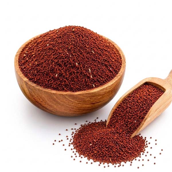 LAJWANTI SEEDS