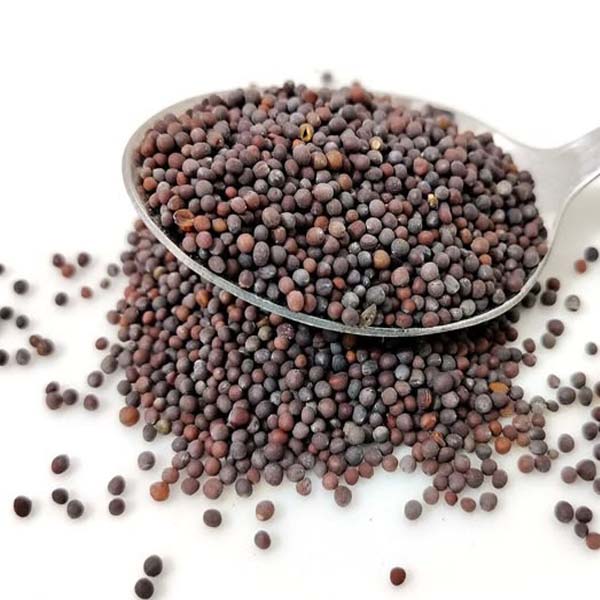 MUSTARD SEEDS 1
