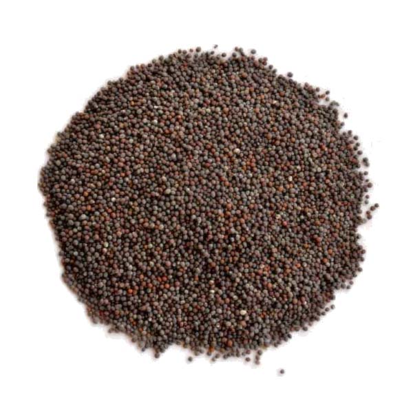 MUSTARD SEEDS